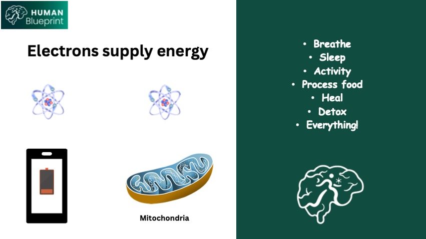 Slide28.jpeg