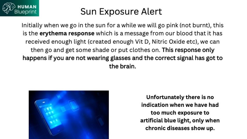 Slide26.jpeg