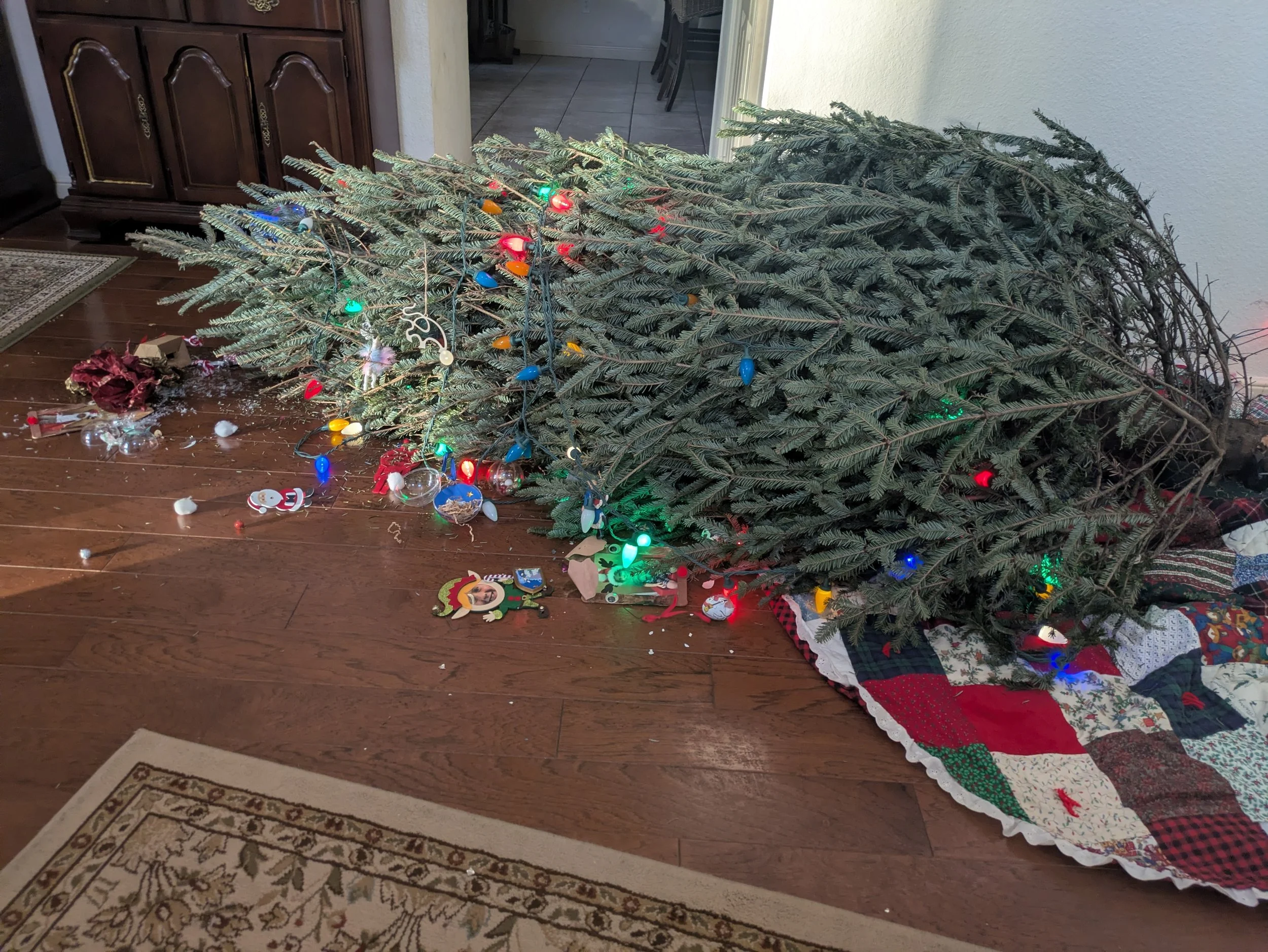 Progress, Not Perfection: A Real-Life Moment of Regulation Before Christmas