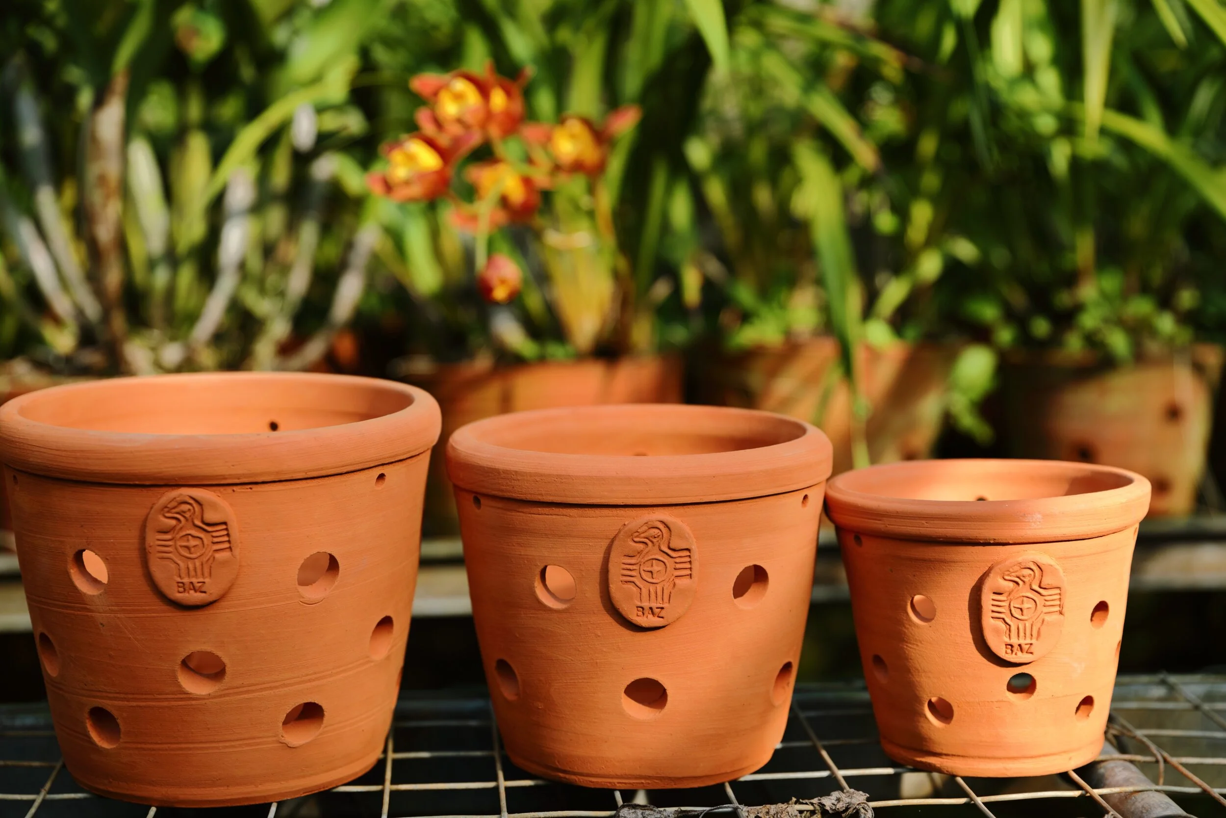 Terracotta Orchid Pots