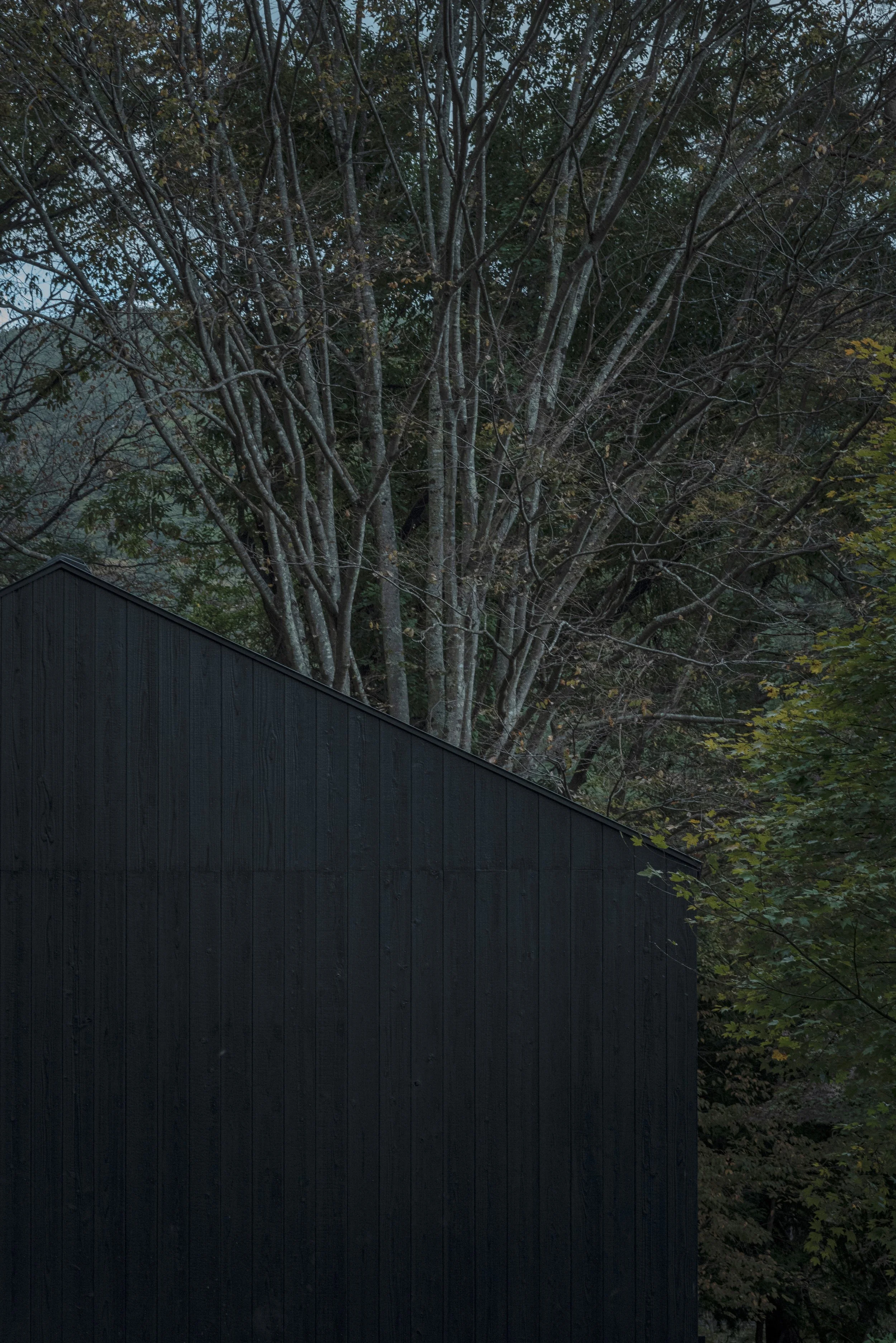 VX kawaguchiko 12.jpg