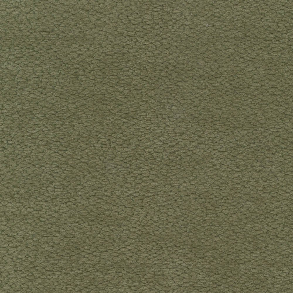 O14_Nube-Jungle.jpg