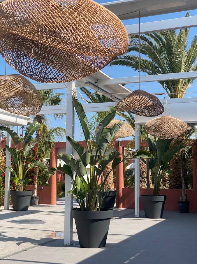 Capture d’écran 2023-06-15 à 16.30.04.png