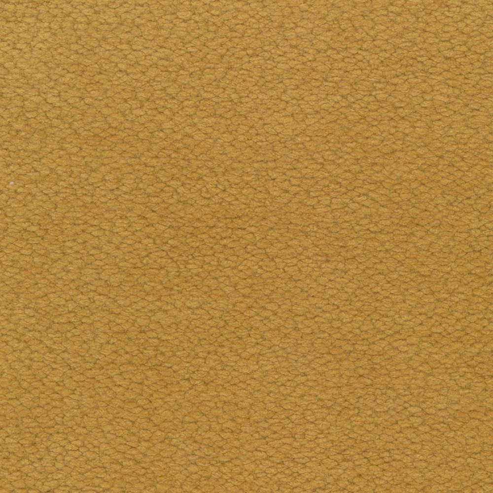 O20_Nube-Camel.jpg