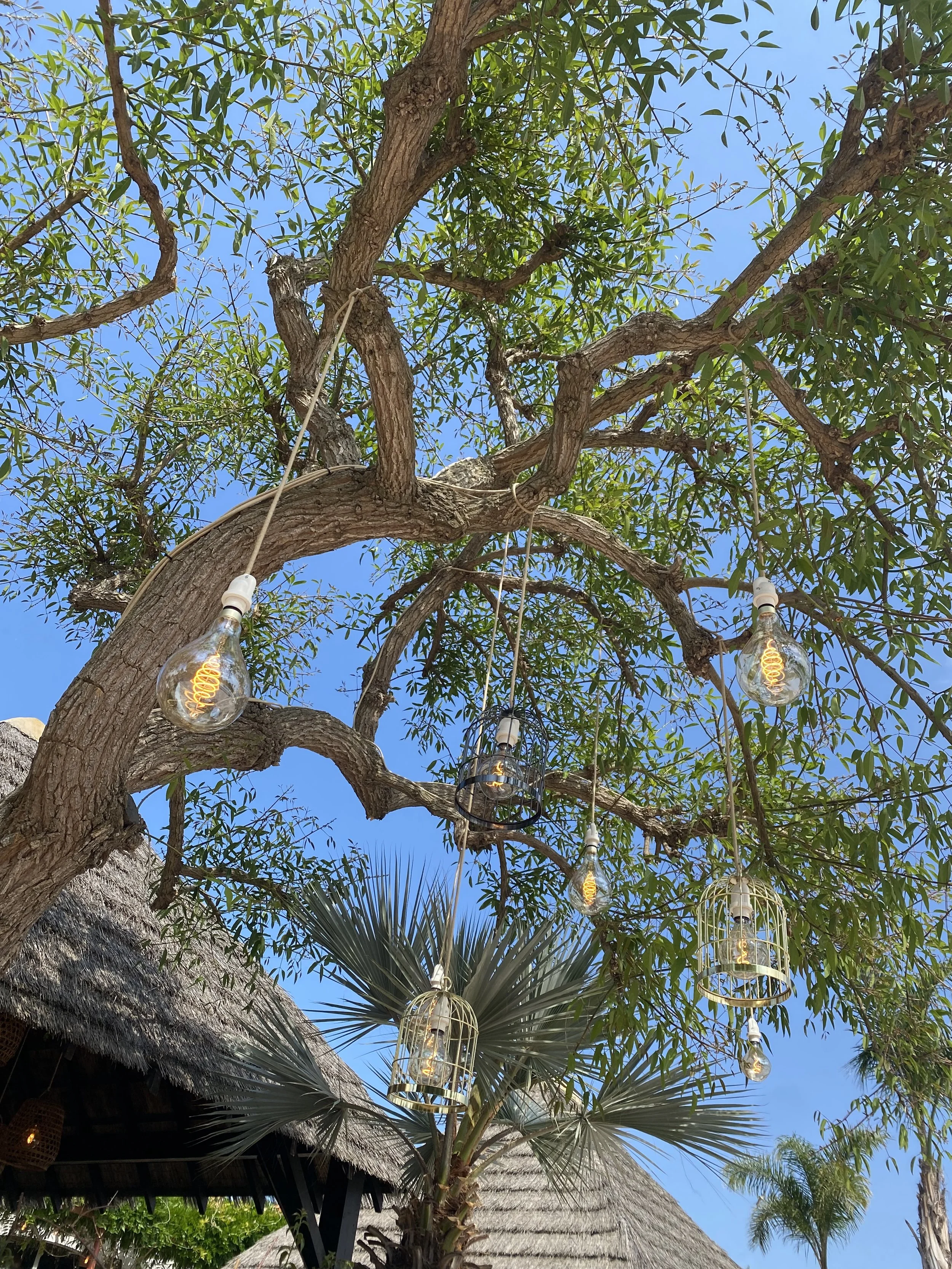 Arbre avec des lampes suspendues et des cages à oiseaux, ciel bleu en arrière-plan.