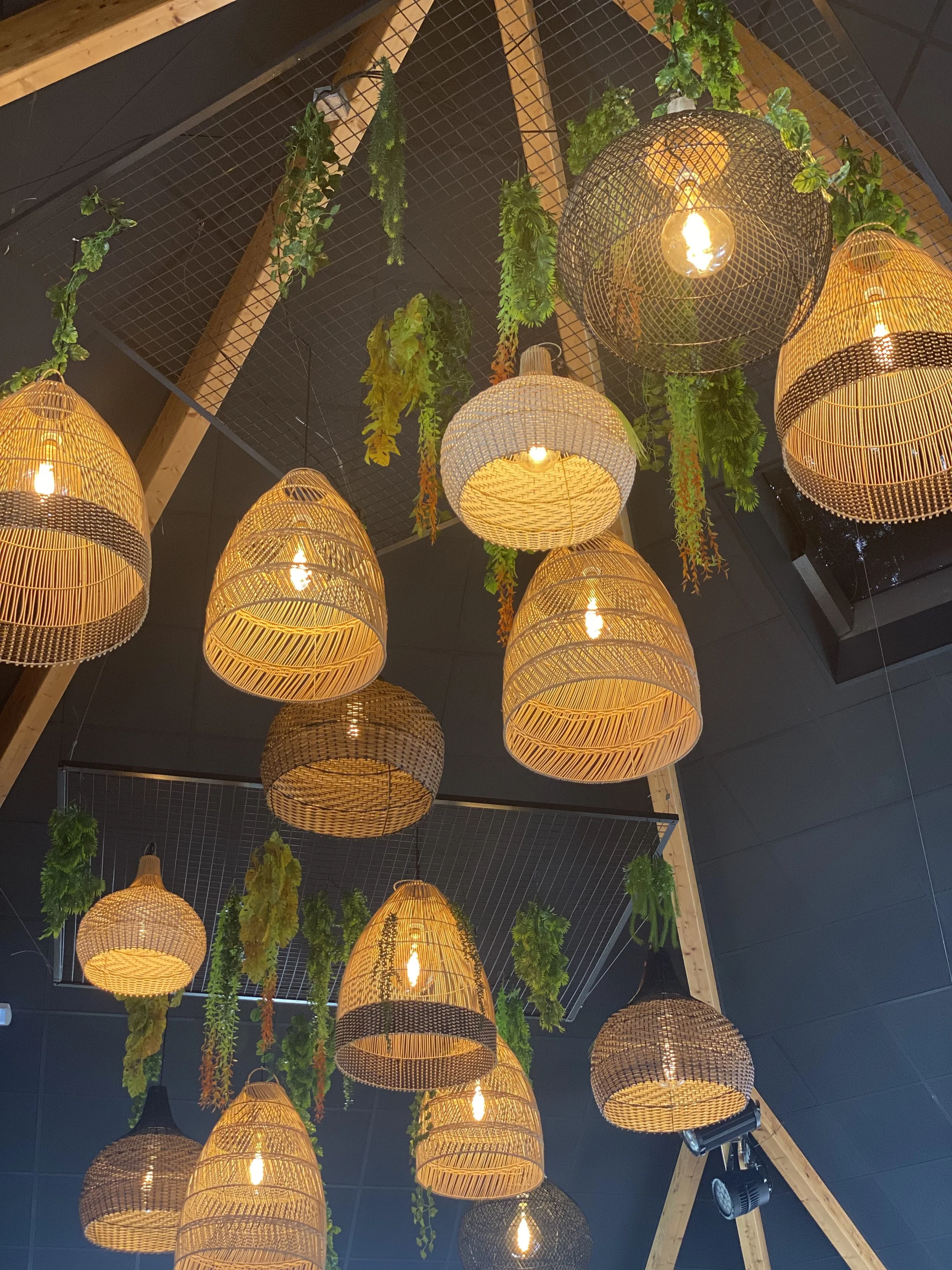 Lustres en osier suspendus au plafond avec des plantes vertes