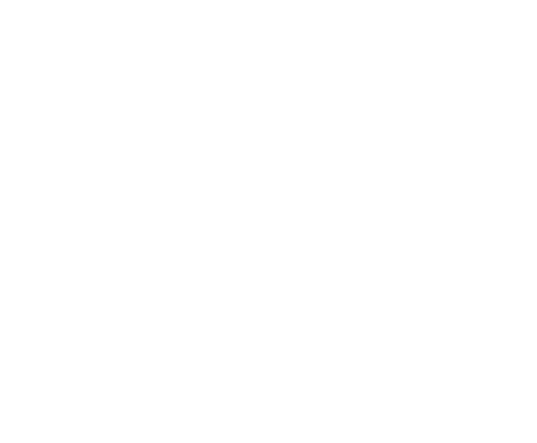 G6 Allies