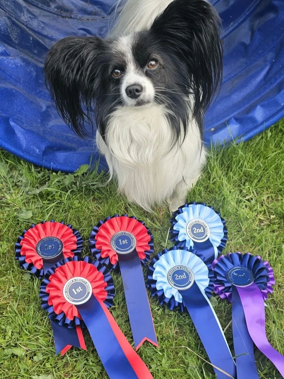 Return to sport following bilateral orthopaedic surgery - Orthopaedic & Sporting Rehabilitation