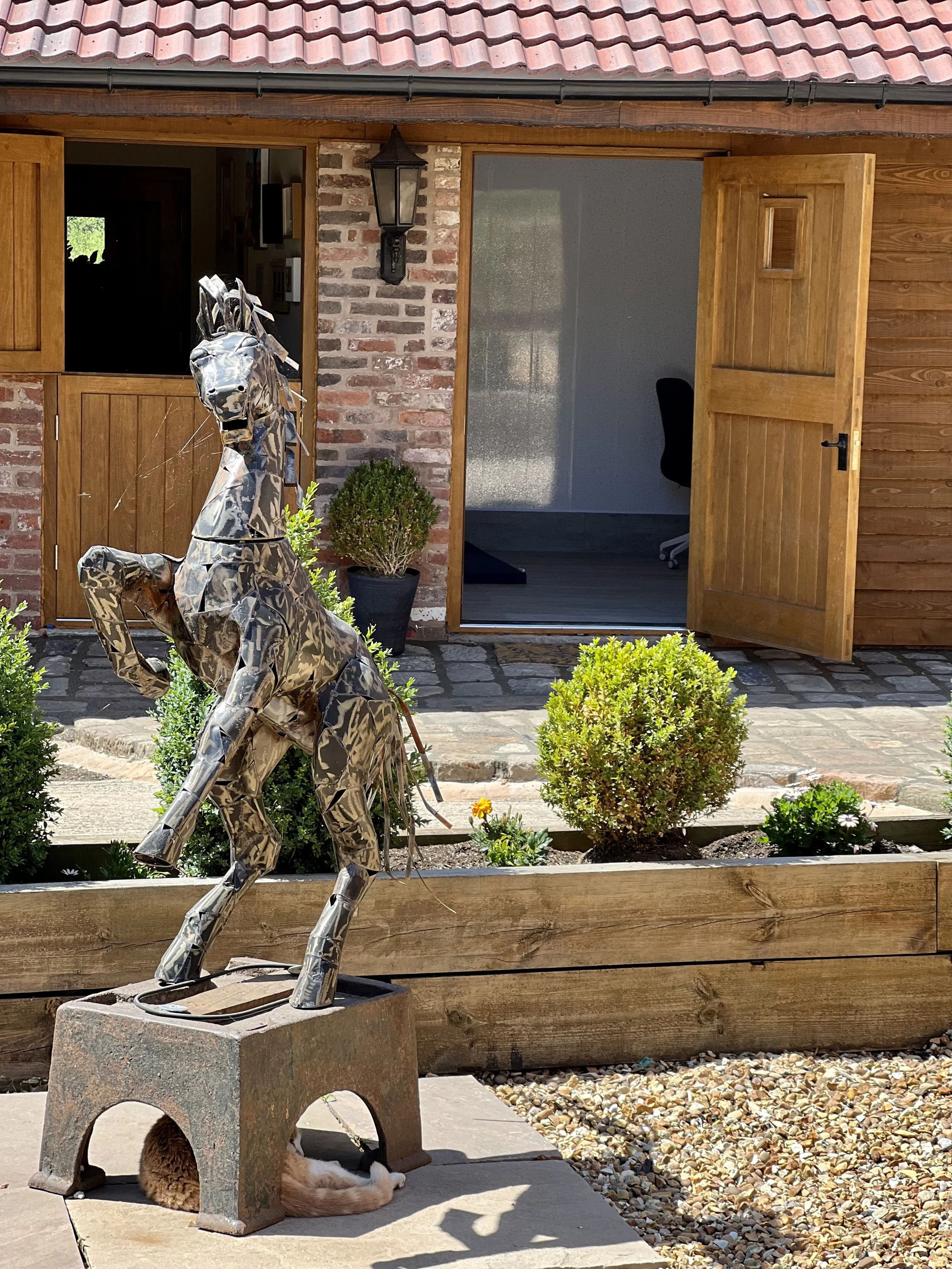 Dog physiotherapy clinic near Barnsley