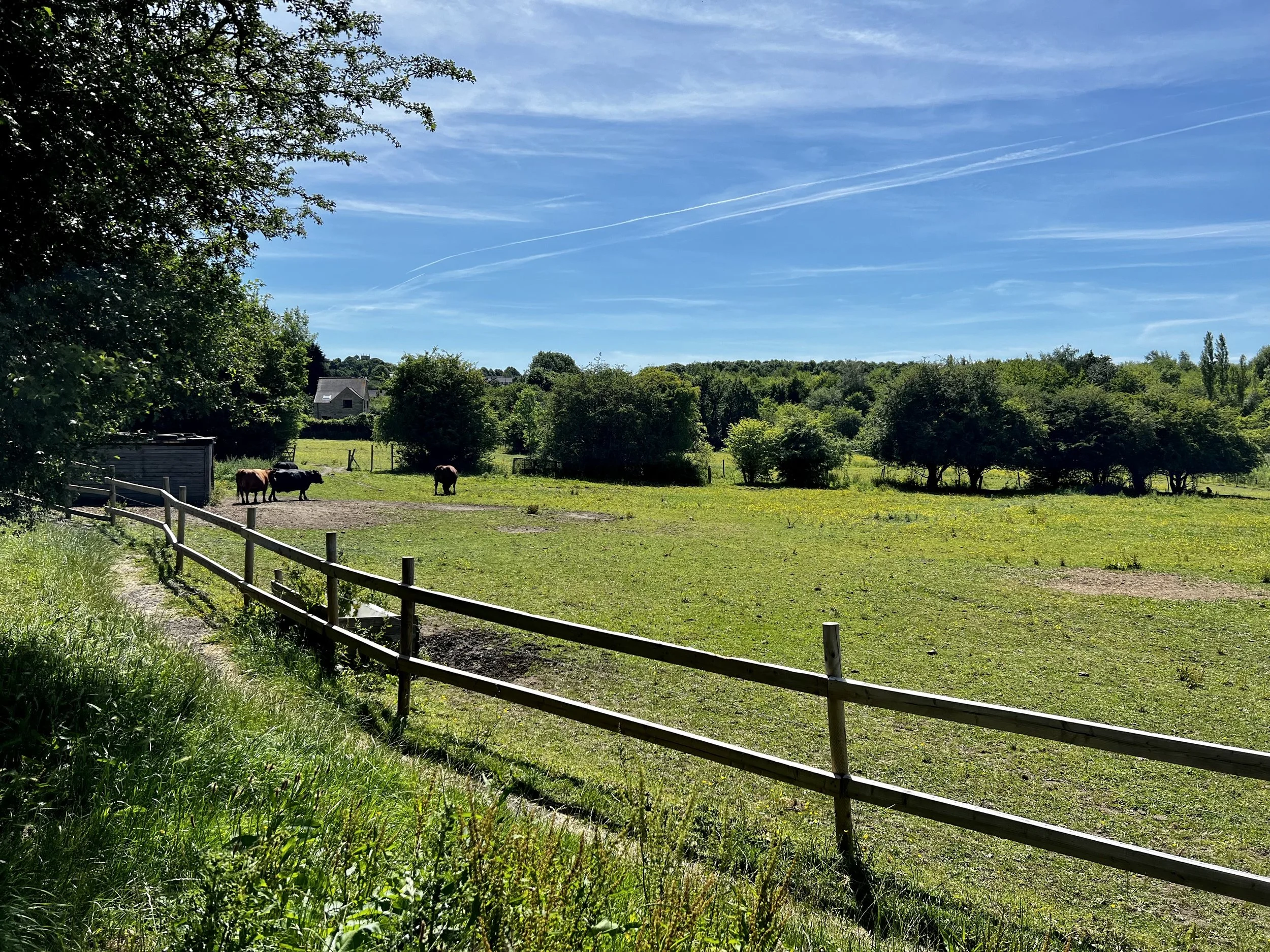 physiotherapy clinic near Doncaster