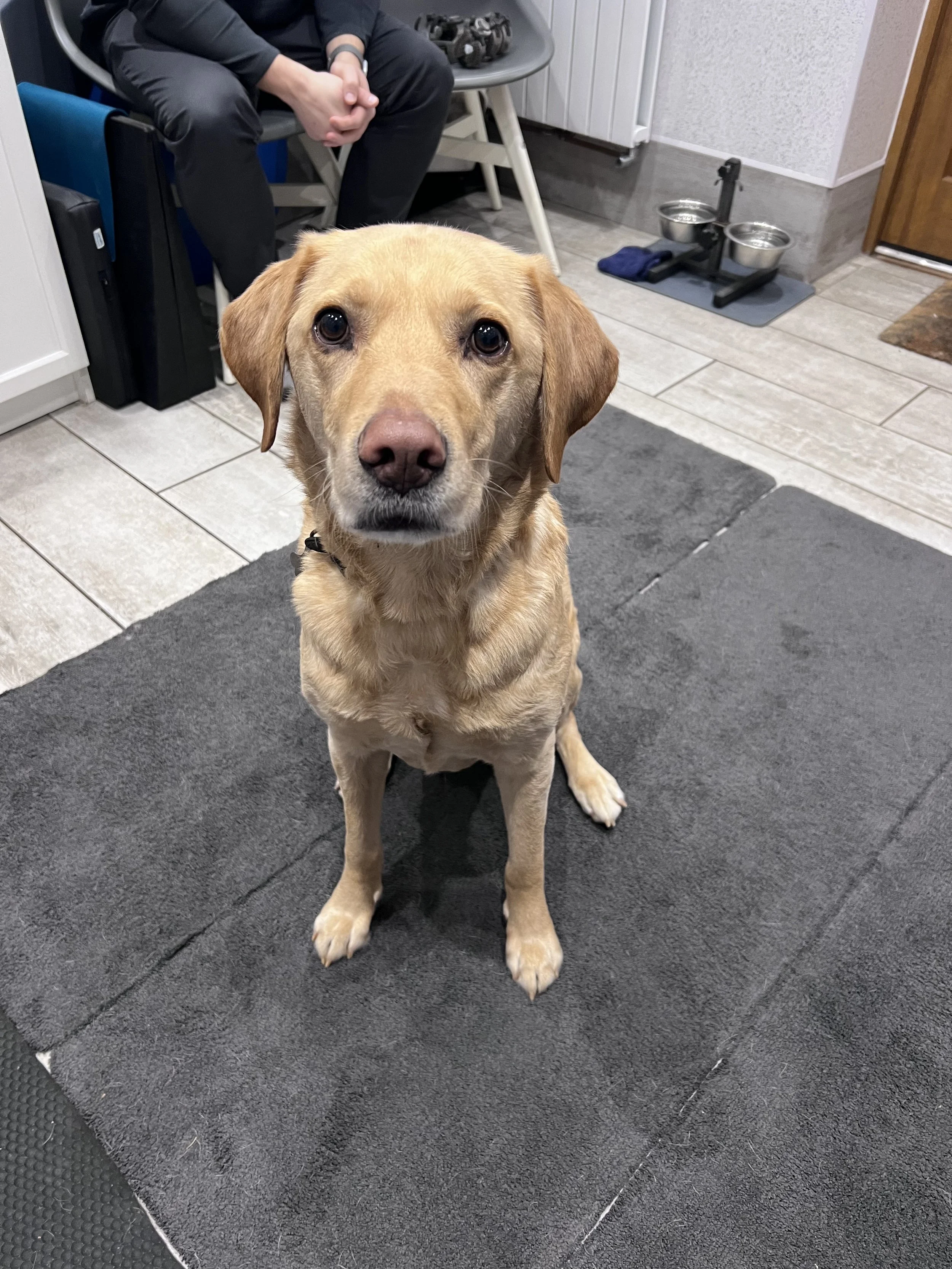 Calcaneal Tendon Surgery - Post surgical Rehabilitation with Physiotherapy