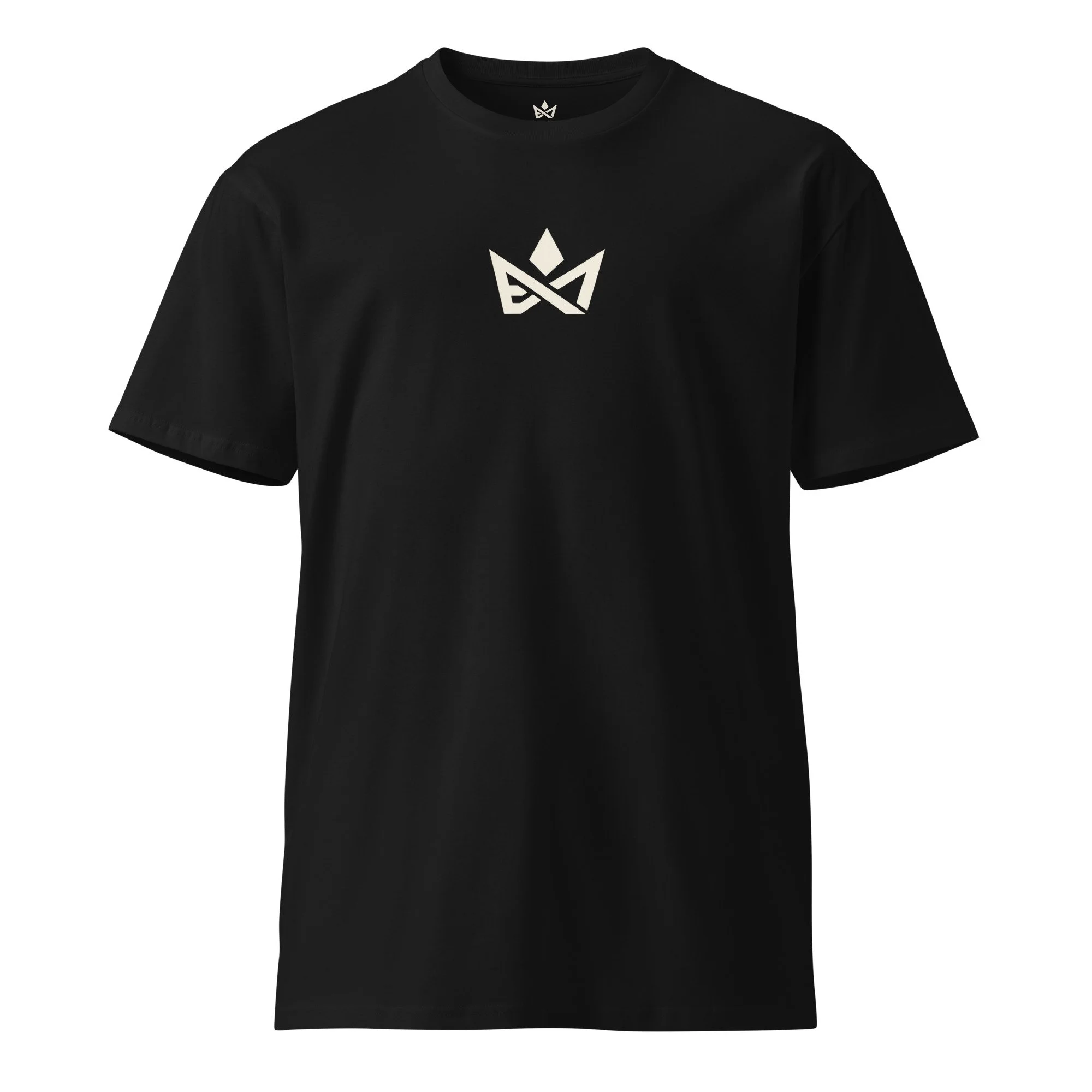 unisex-premium-t-shirt-black-front-6acf995138753.jpg