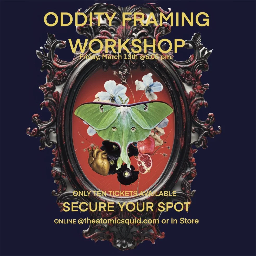 Oddity Framing Workshop (Choice #1 Luna Moth)