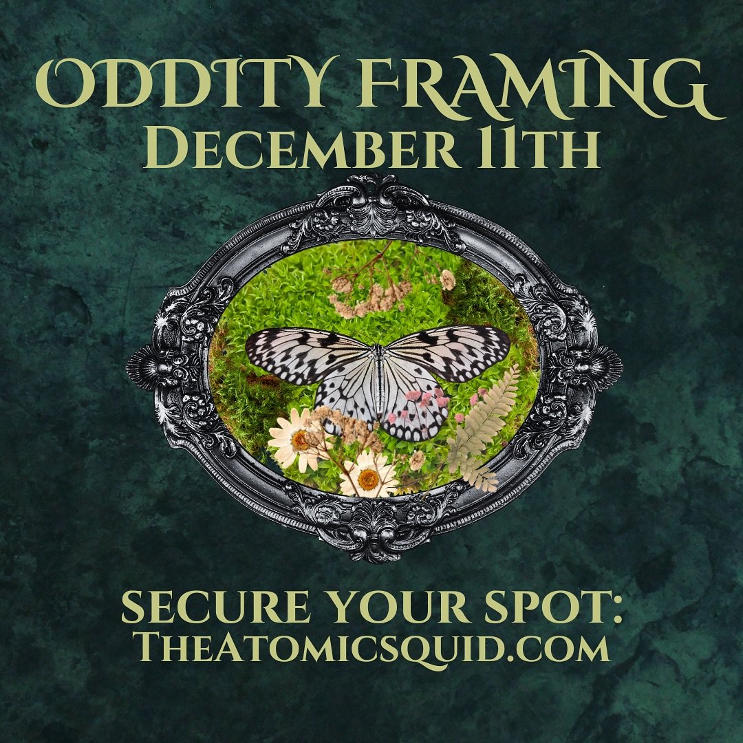🍂Don&rsquo;t forget 🍂
𝐵𝓊𝓉𝓉𝑒𝓇𝒻𝓁𝓎 𝒻𝓇𝒶𝓂𝒾𝓃𝑔 𝓌𝑜𝓇𝓀𝓈𝒽𝑜𝓅
✨have you always wanted a framed oddity which you created yourself?✨
&bull;Learn how to flatten subjects
&bull;Create backings
&bull;Place subjects 
&bull;Create eye appealing