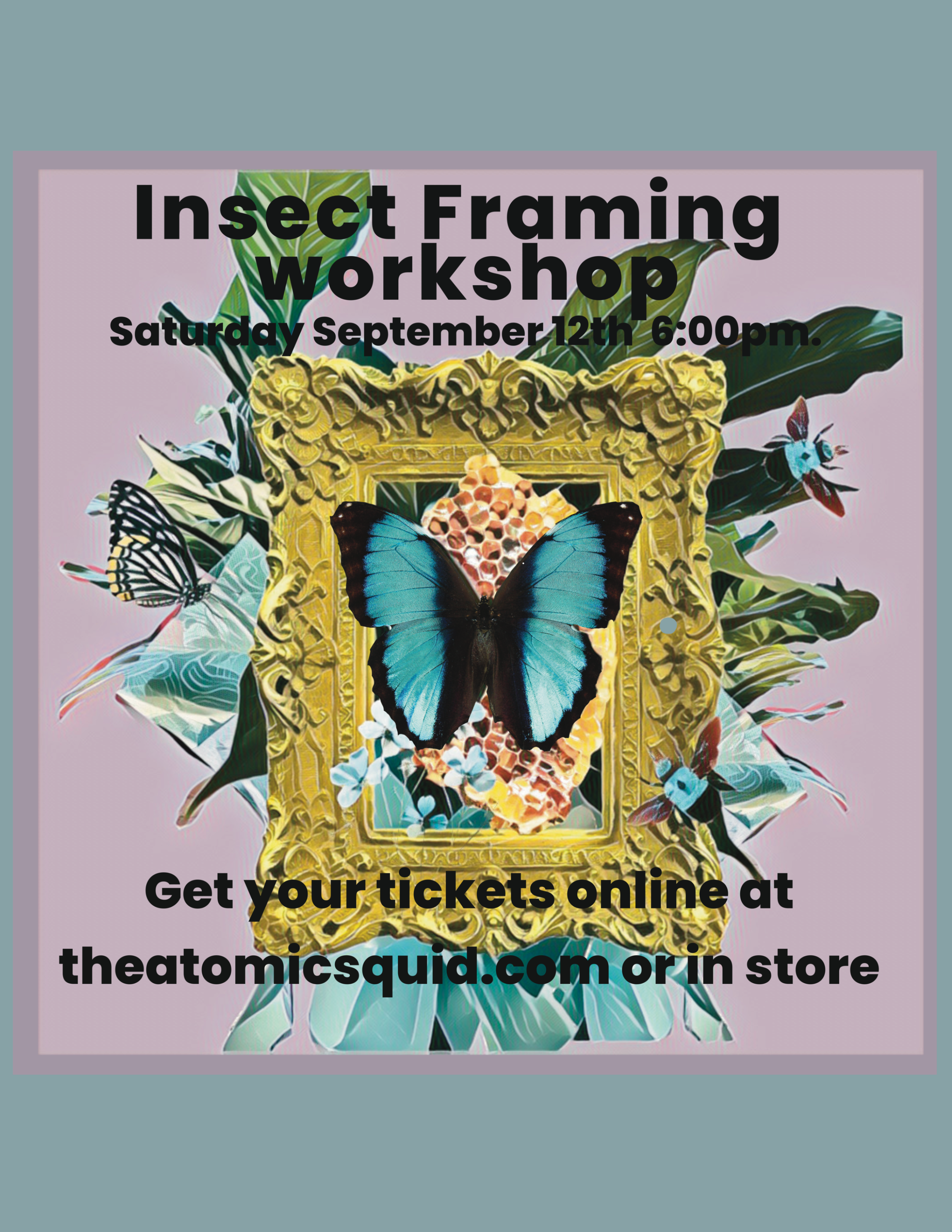 Butterfly Framing Workshop