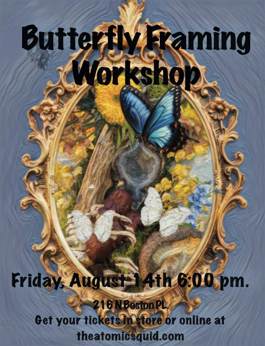 Butterfly Framing Workshop