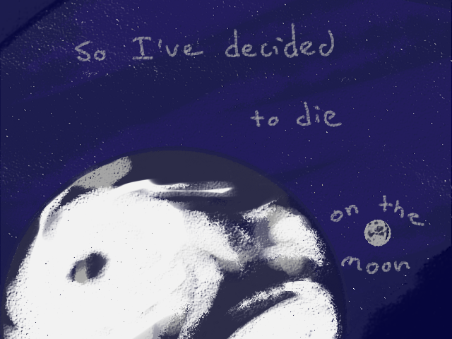 13.png