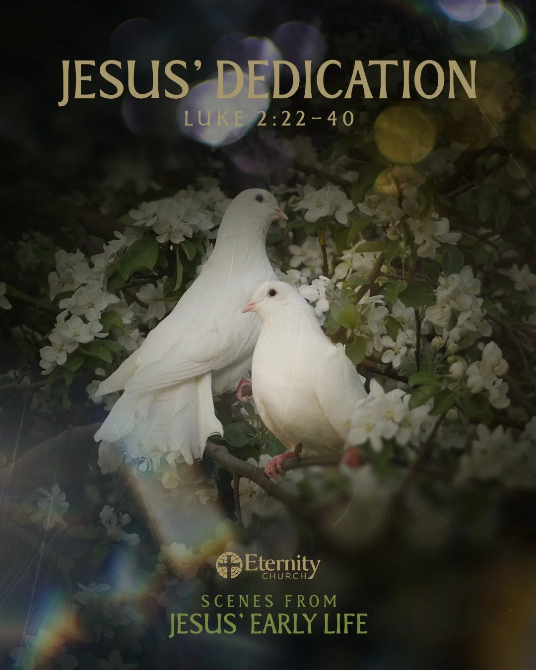 Jesus’ Dedication