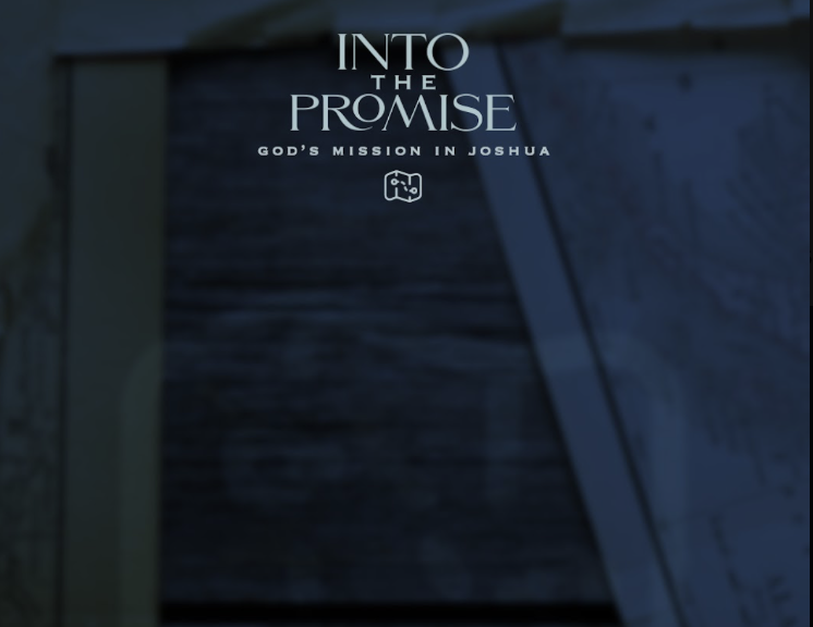 Into the Promise