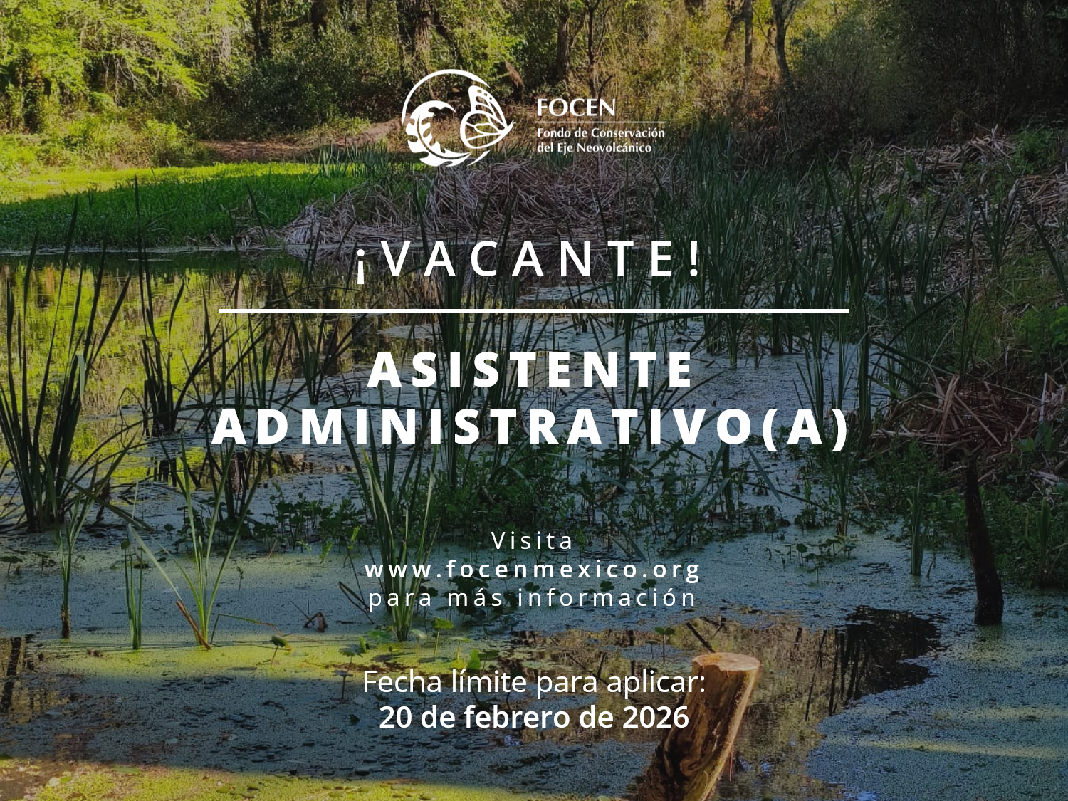 Vacante para Asistente Administrativa (o) 2026
