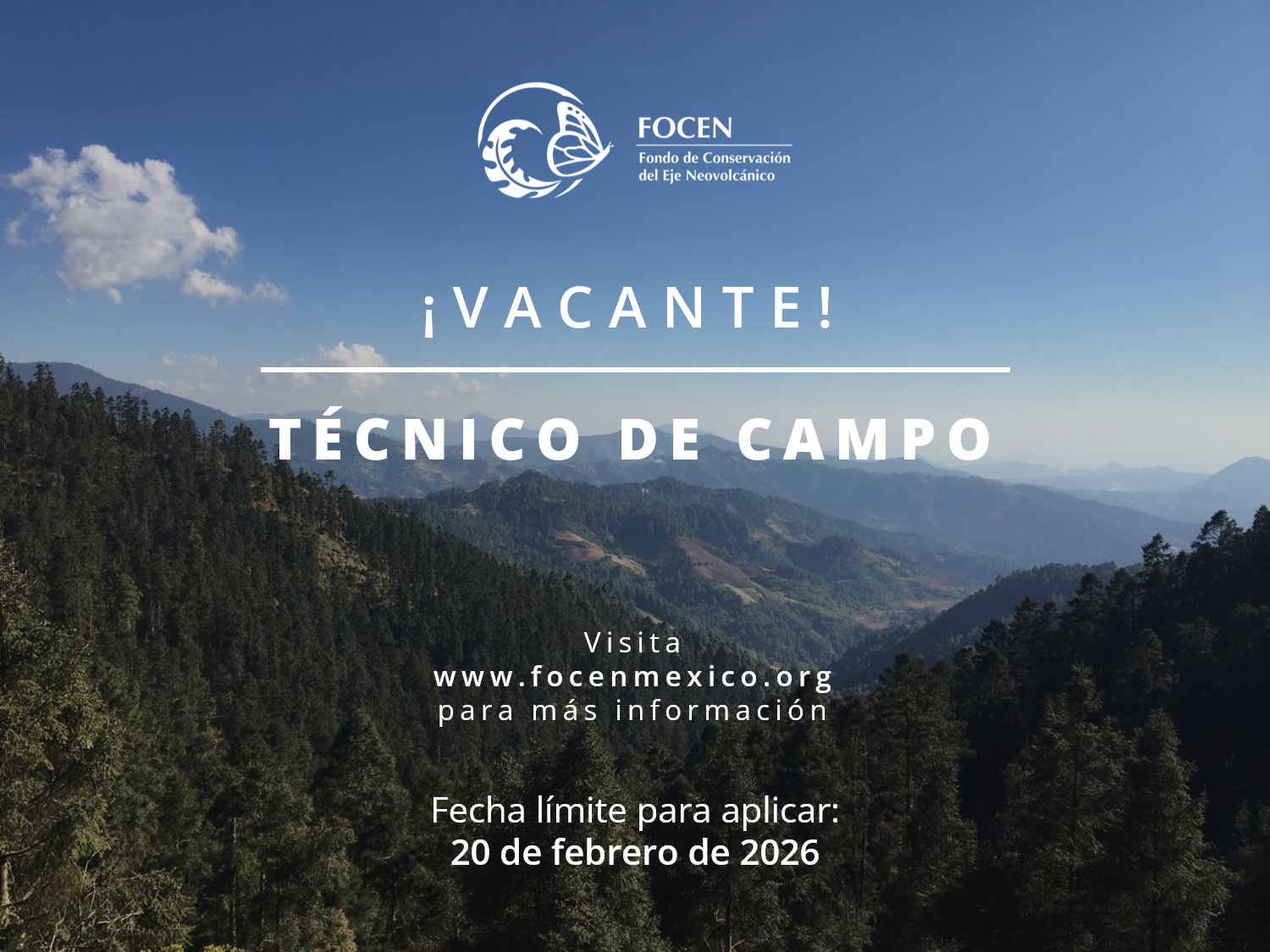 Técnico de campo 2026