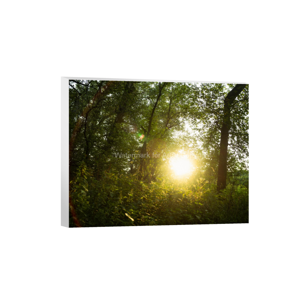 ptq_7_6_500_0_5000_4000_0_false_ffffff_0_0_9bee16dad813a3634c173b87ac9ea452.png