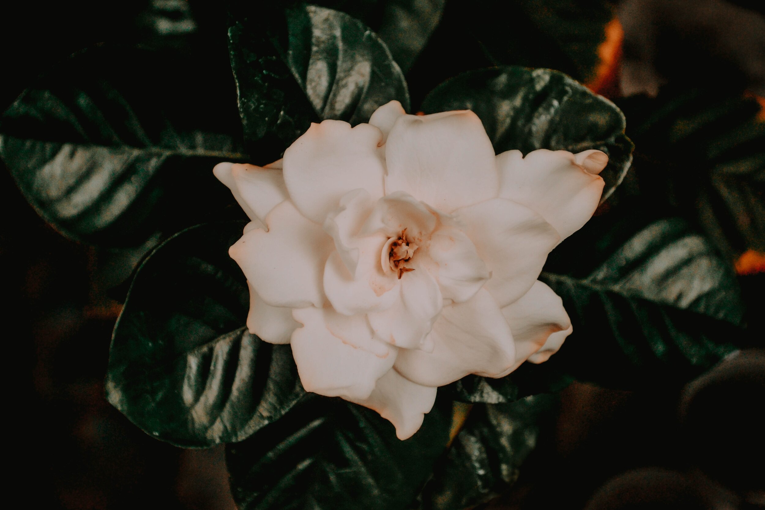Introduction to Mindfulness