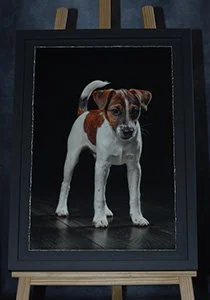A framed portrait of a small brown and white dog on a black background.