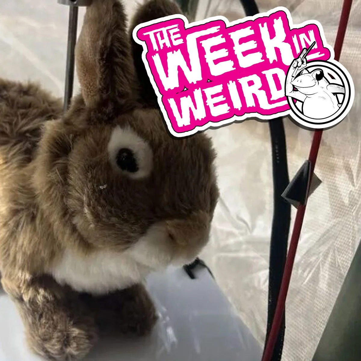 Week in Weird 1-13-26