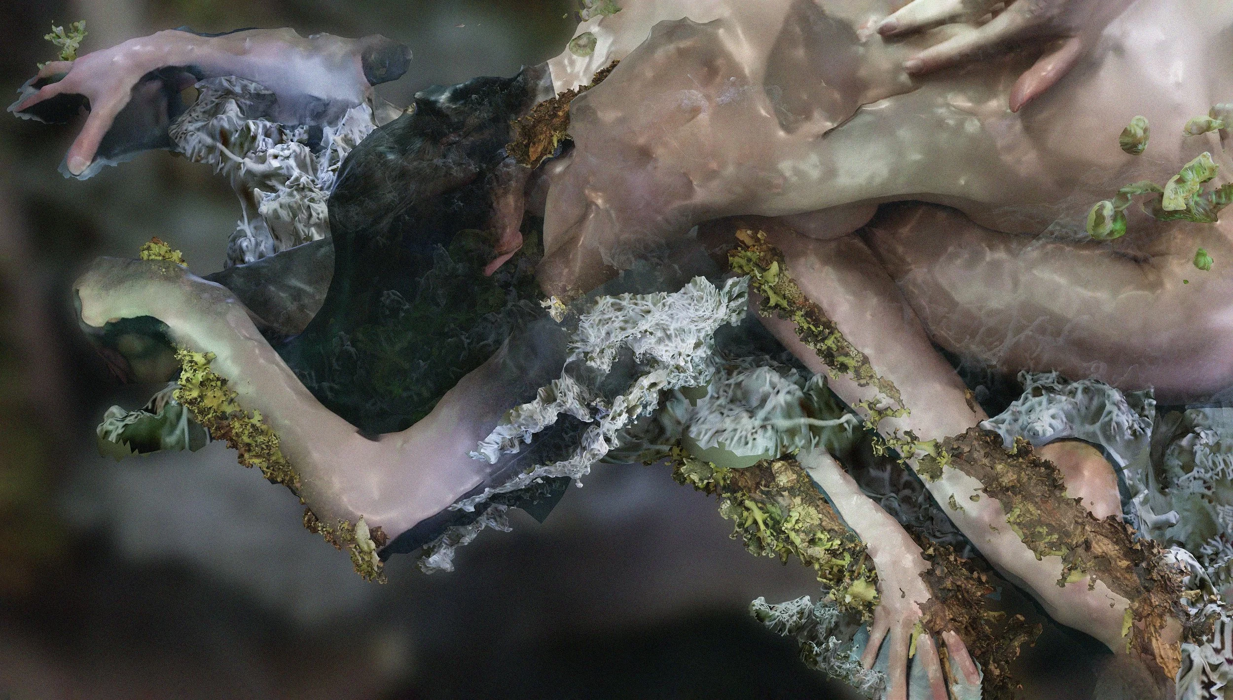 An image of a person curled nude with their head to the ground, with additional limbs on and sprouting from them. They are fused with lichen.