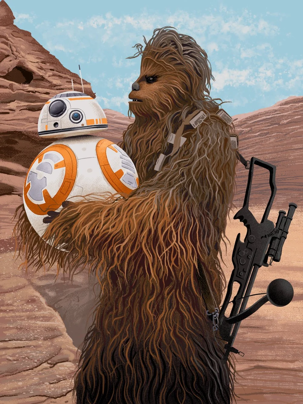 Cheebacca-bb8-R1.jpg