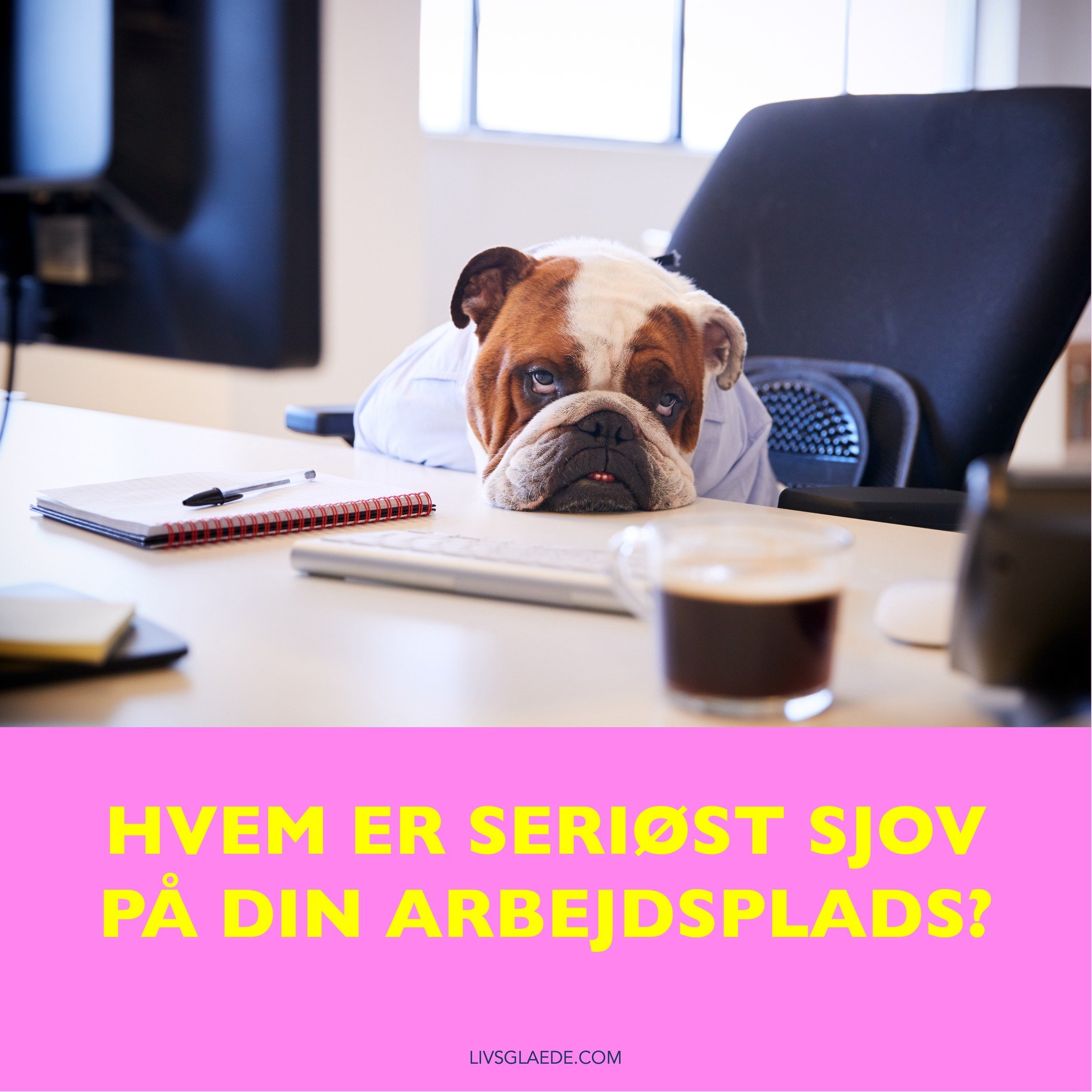 HVEM ER SERI&Oslash;ST SJOV P&Aring; DIN ARBEJDSPLADS? 😊 

Mange t&aelig;nker m&aring;ske, at det at have det sjovt p&aring; arbejdet er lidt ... useri&oslash;st. Men det er langt fra sandheden.

I en tid, hvor vi har mere travlt end nogensinde, ska