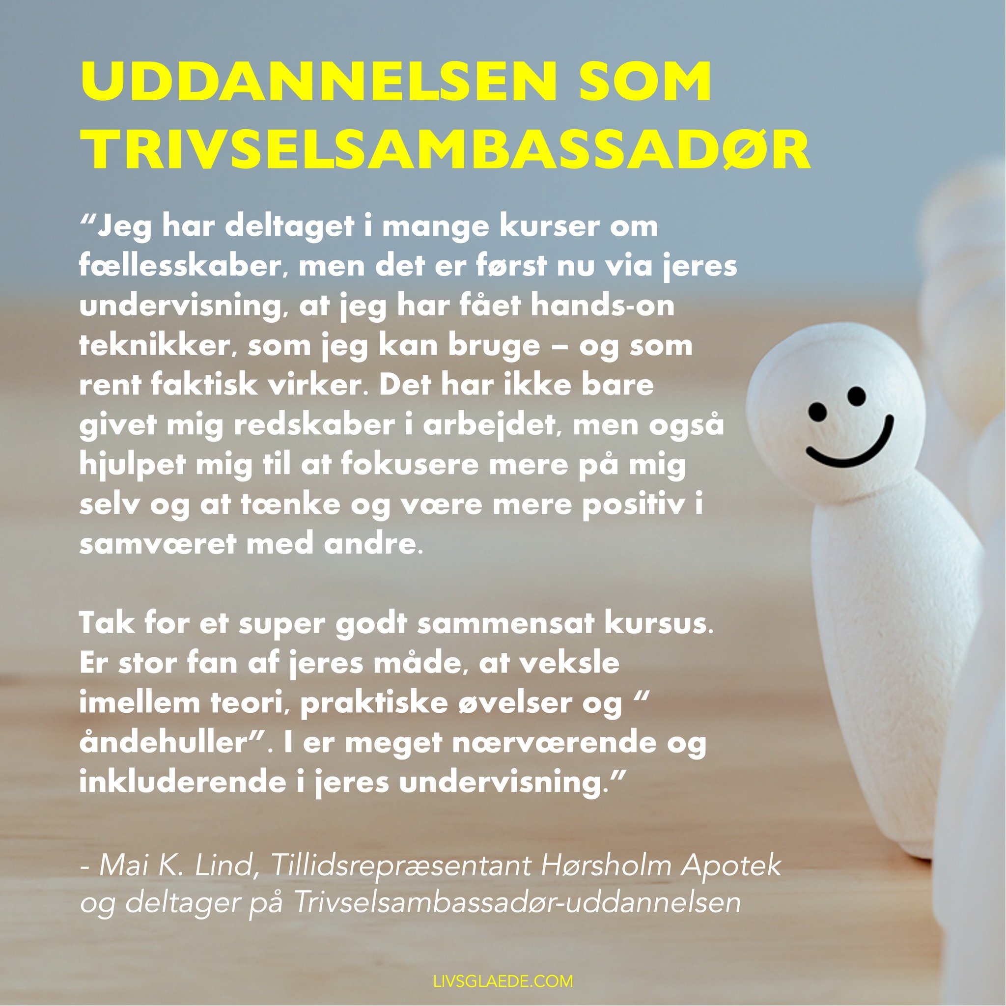 &quot;Jeg har f&aring;et konkrete teknikker, som faktisk virker &ndash; b&aring;de i arbejdet og for mig selv.&rdquo; 

.. udtaler Mai, som er &eacute;n af deltagerne p&aring; vores f&oslash;rste uddannelse for Trivselsambassad&oslash;rer &ndash; og 
