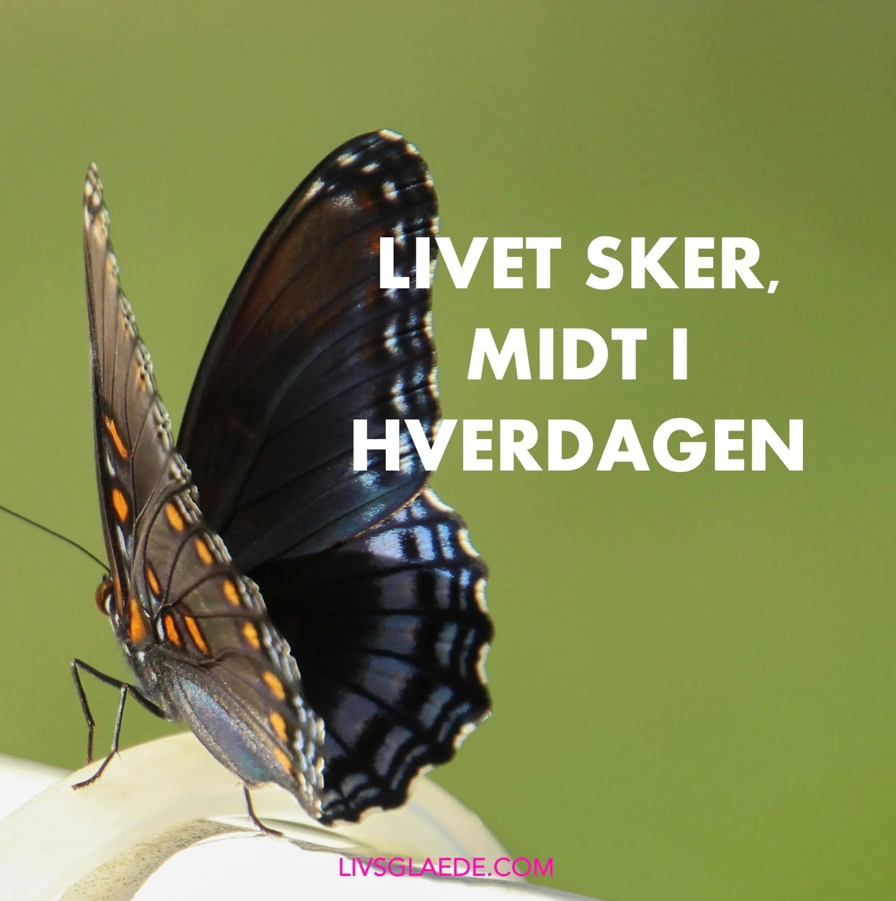 Vi har det med at tænke, at livet først begynder, når vi lige har…
fået styr på økonomien.
fået børnene lidt større.
fået det nye job.
fået overstået travlheden.
Men