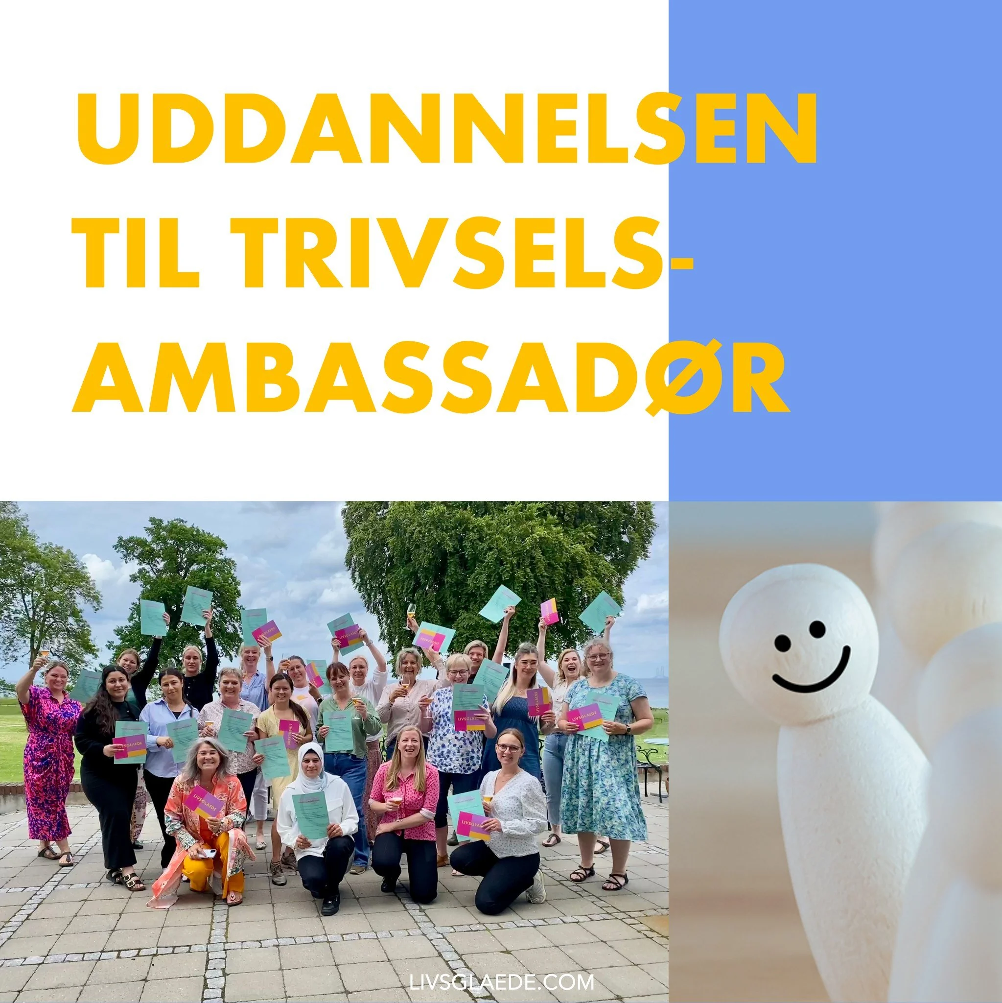 Vil du være med til at skabe mere arbejdsglæde og trivsel – både for dig selv og dine kollegaer? 😊 
Som trivselsambassadør får du viden og redskaber om trivsel, og du bliver en del af et fællesskab, der hj