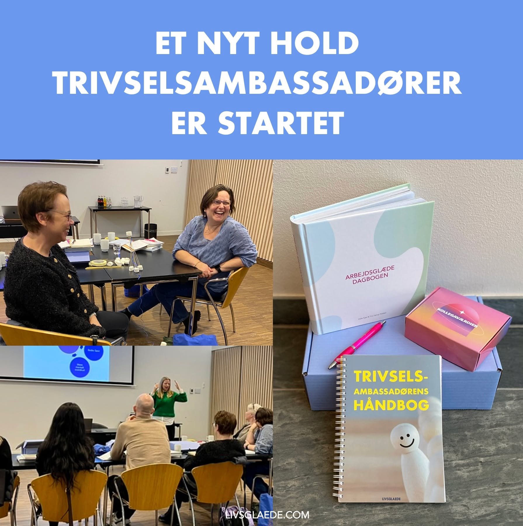 ENDNU ET HOLD TRIVSELSAMBASSAD&Oslash;RER ER I GANG.

Hos LIVSGLAEDE har vi netop afholdt f&oslash;rste modul p&aring; vores Uddannelse af Trivselsambassad&oslash;rer &ndash; og vi er alts&aring;  begejstrede.

Det er andet forl&oslash;b af denne udd