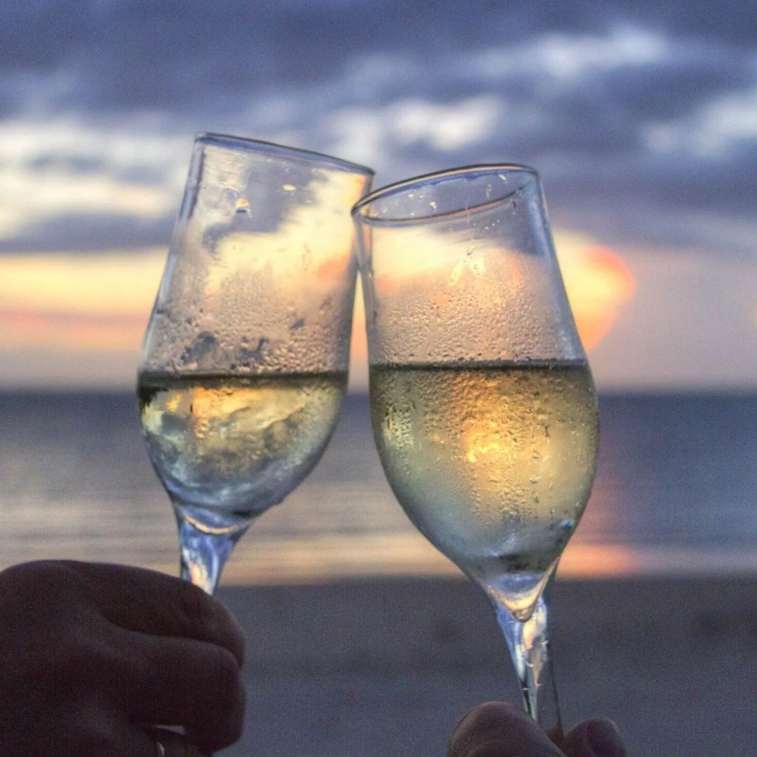 This One’s To New Beginnings!