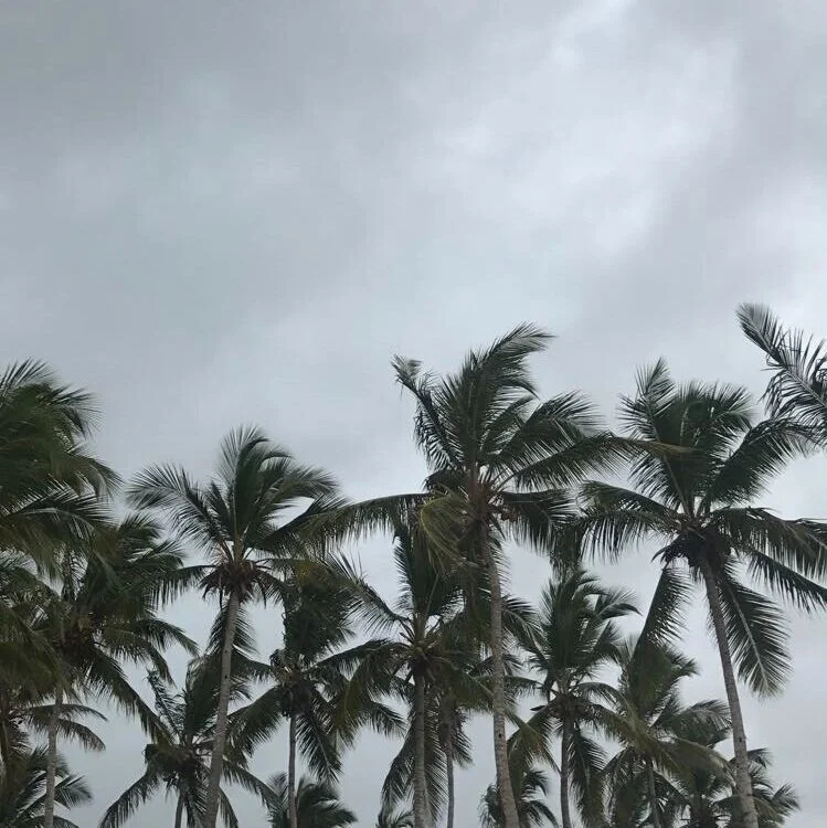 And It Was Good . . .