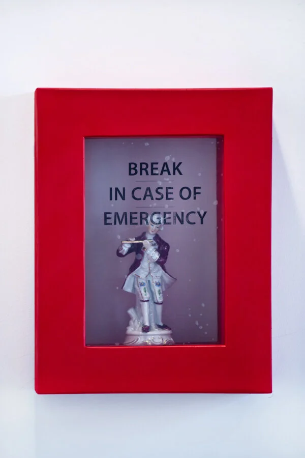 break-in-case-of-emergency-figure1-600x900.jpg