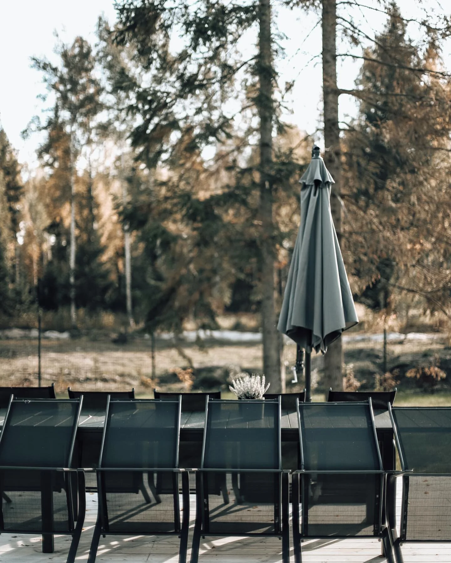 Miss the time when you could still spend the evenings on the terrace wrapped in the blanket. #tinyhouse, #cabinlife, #cabininthewoods, #travellatvia