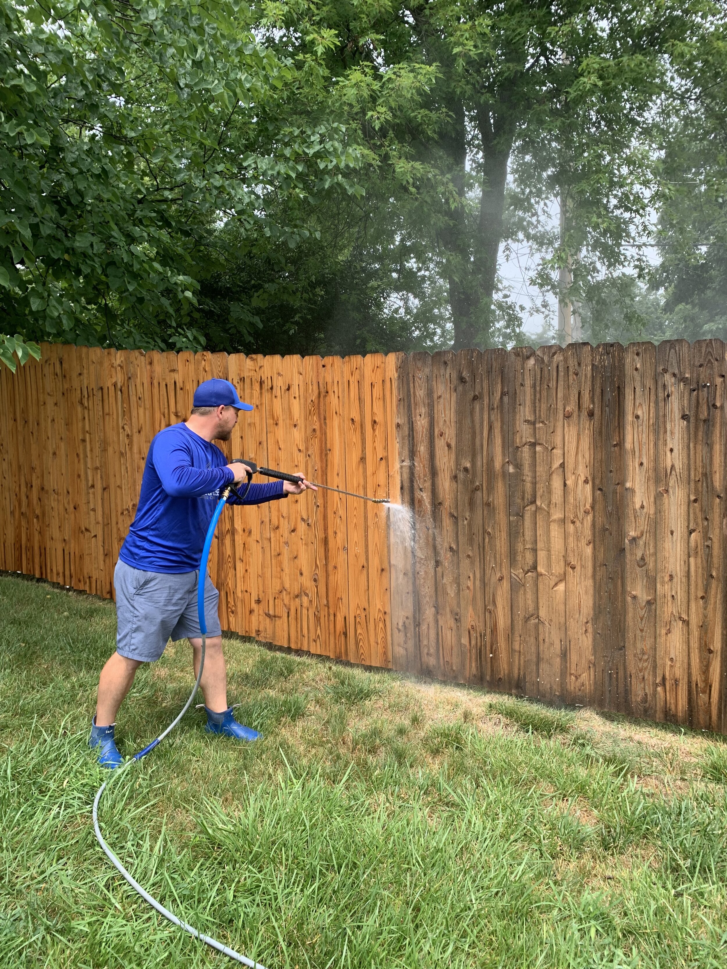 Fence Cleaning