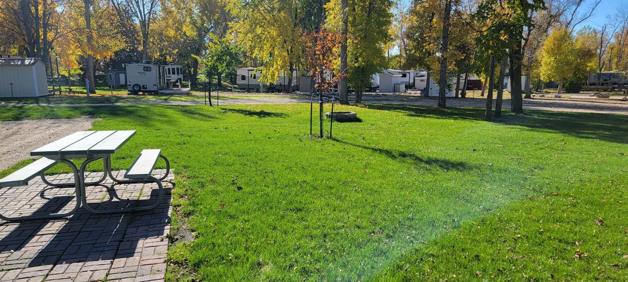 N3 with grass - compressed.jpg