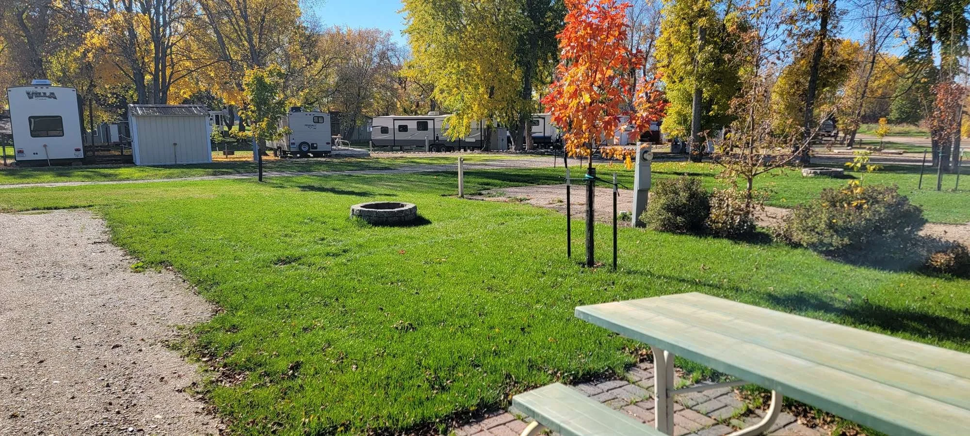 N2 tree picnic table - compressed.jpg