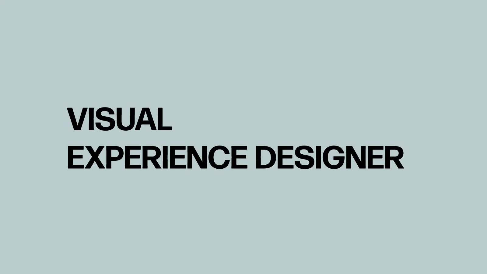 Visual Experience Designer