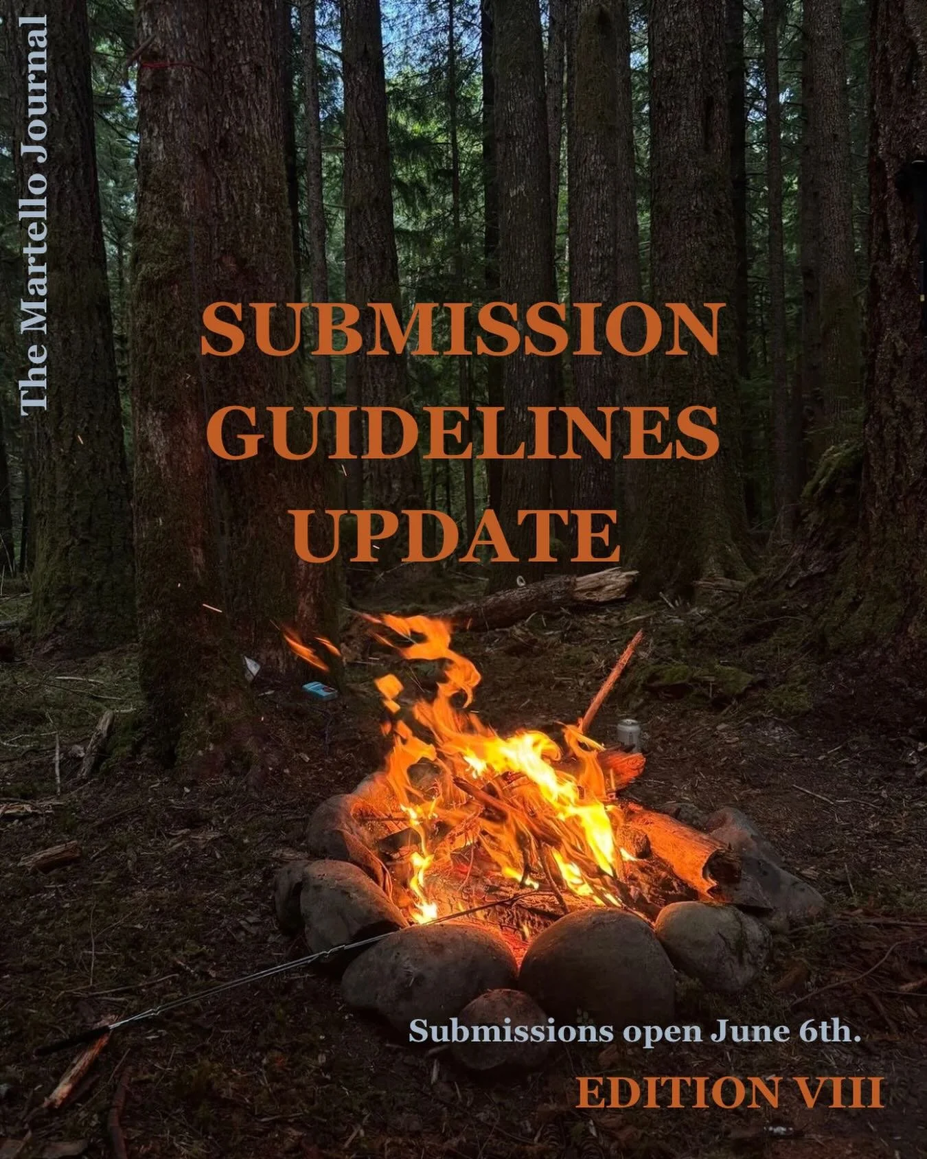 CHANGE TO OUR SUBMISSION GUIDELINES 

Please note a change to our submission guidelines: from edition 8, we will only be accepting submissions from artists based in Ireland. 

This is not because we don&rsquo;t love receiving submissions internationa