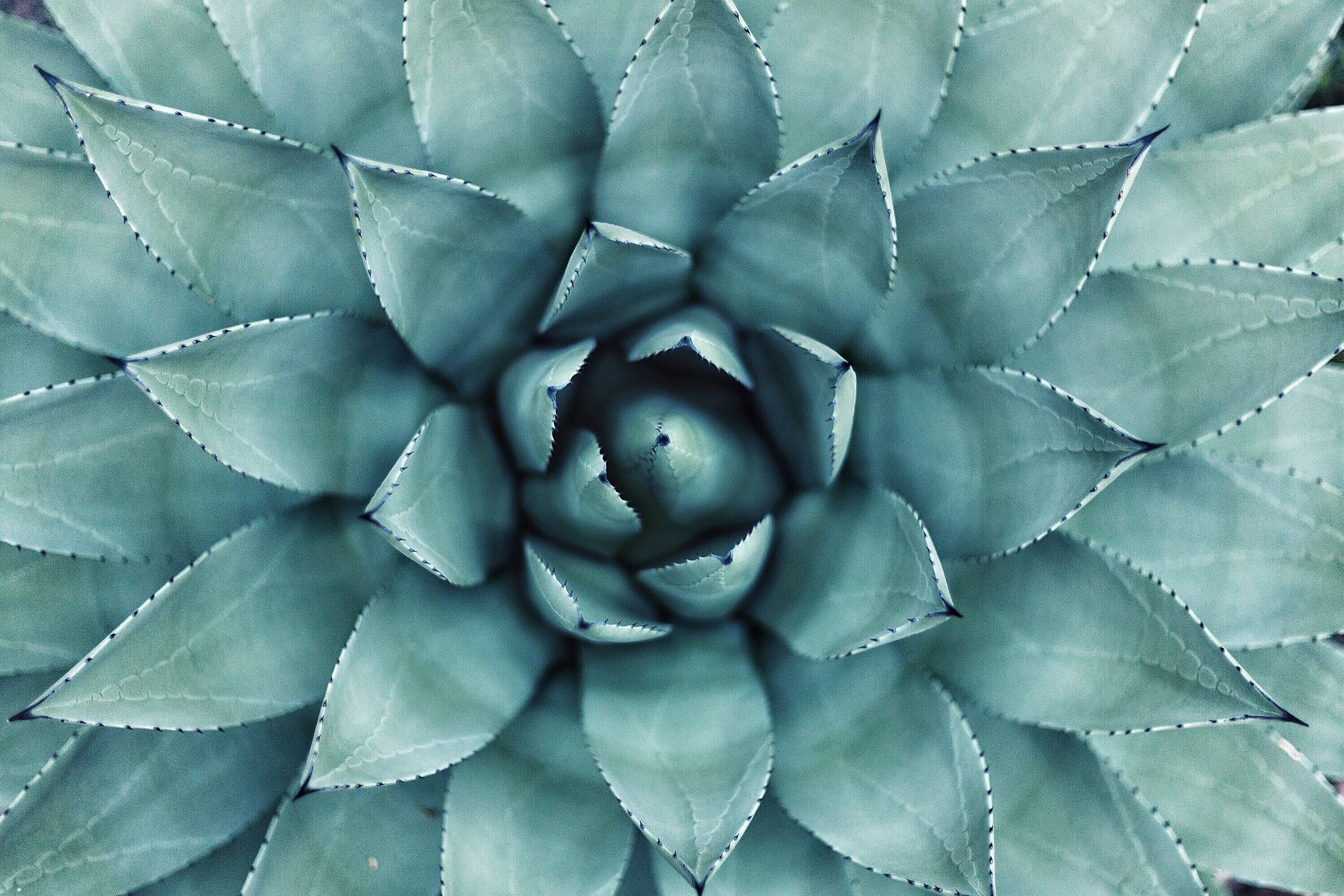 How Somatic Therapy Helps You Reconnect with Your Body