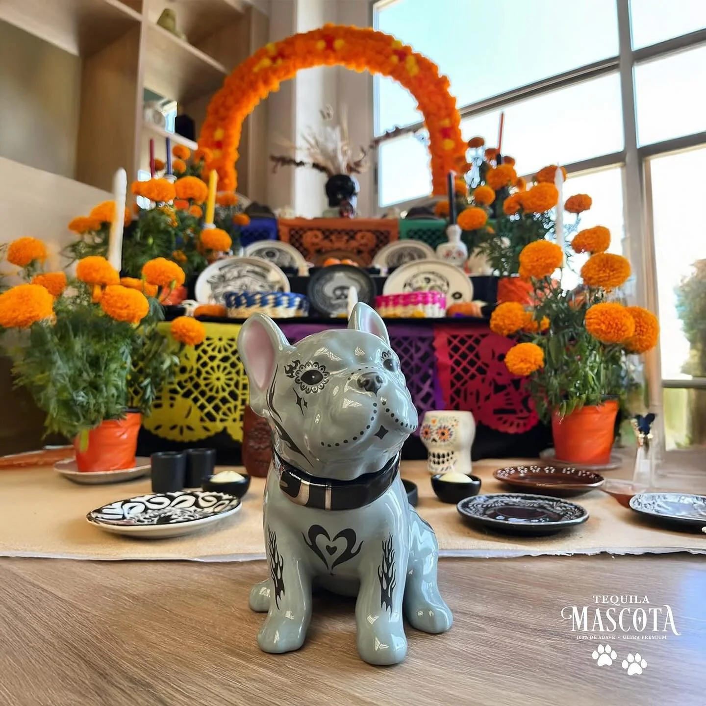 A day dedicated to pets during Día de Los Muertos. ❤🐾
@mascotatequila 
October 27 is a special day in Mexico that touches the heart, as families light candles and place offerings for the souls of their beloved pets. 
It’s believed tha