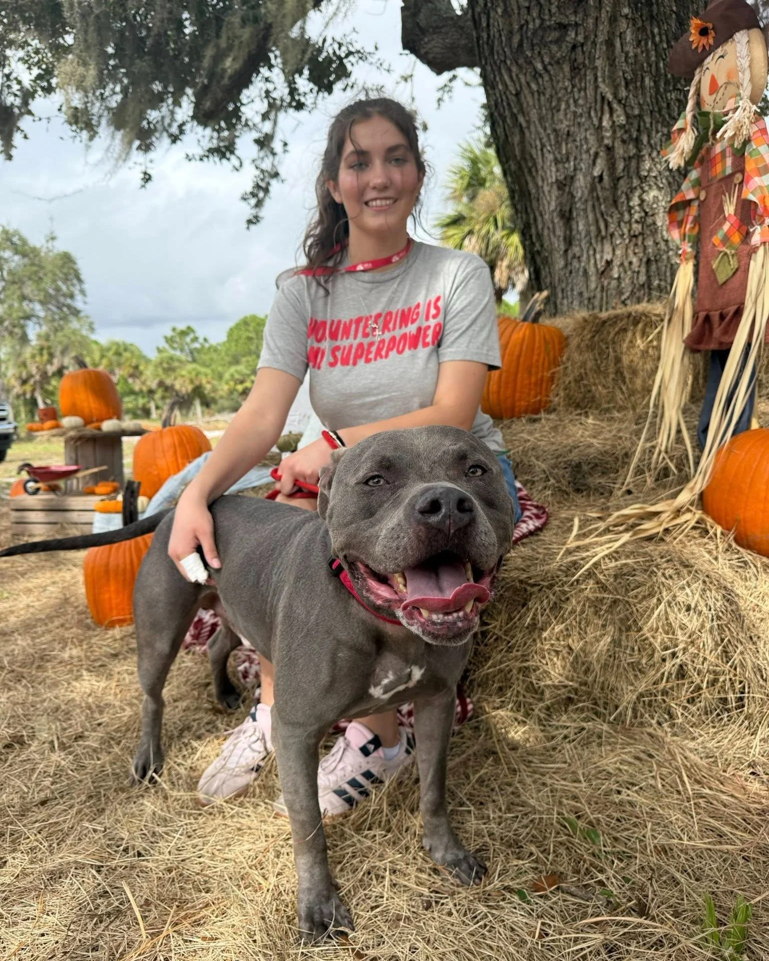 Event season is in full swing, and we couldn&rsquo;t do it without our incredible volunteers! ❤

From helping at community events and showing off our adoptables, to spreading the word about our lifesaving programs, and lending a hand at our adoption 