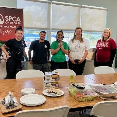 We want to give a big thank you to Ty@tylersdream_inc_usa  for dropping off lunch and treats for both staff and our dogs in honor of Tyler's 19th birthday. 💙🦓

Tyler and his mom, Jennifer, were dedicated and amazing volunteers and fosters for the S