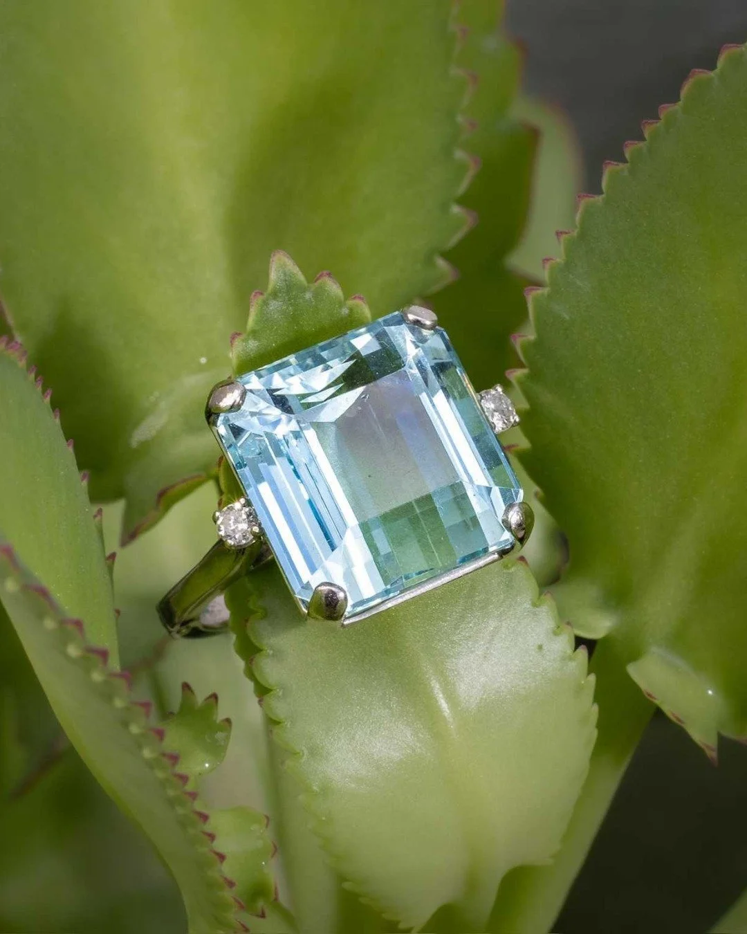 We heard you needed a close up 👀

As part of the release of our Pets and Their People coffee table book, featuring stunning photography by @hattonpetportraitstudio  and heartwarming stories shared by local families, we are thrilled to announce a tru